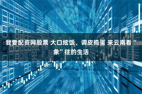 我要配资网股票 大口炫饭、调皮捣蛋 来云南看“象”往的生活